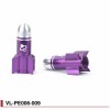 Bouchons de valve obus colorés Fouriers VL-PE006-009