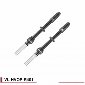 Valves Tubeless route Fouriers à gonflage rapide